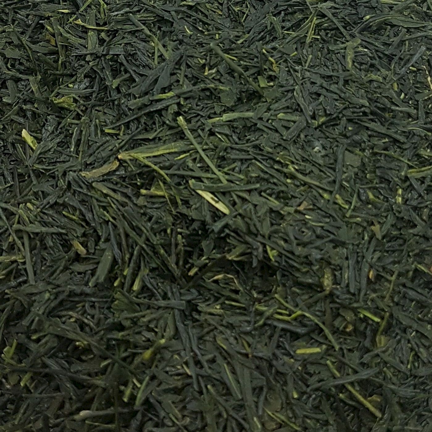 Tè verde del Giappone 